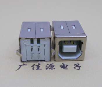 龙门USB BF180度母座 打印机接口 立式直插带赛