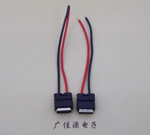 龙门type c2p防水母座焊线式带线注塑成型带接线端子/不带接线端子充电连接器